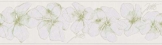 Livingwalls Bordüre Jette Joop Borte mit Blumen floral 5,00 m x 0,17 m grün weiß Made in Germany 959912 95991-2 - 1